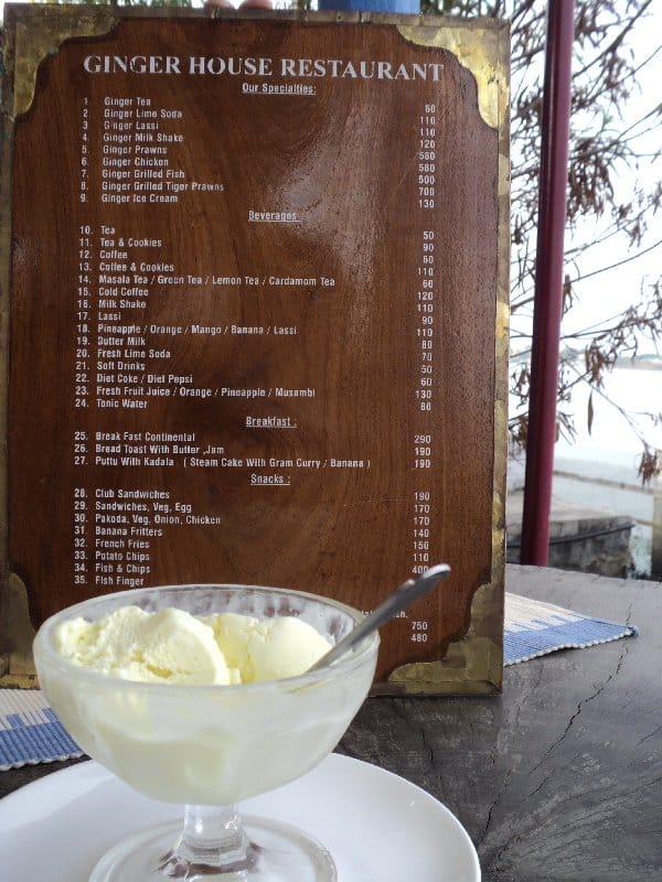 Southern Delight: An ice cream whose chief ingredient is Zingiber officinale – Ginger! (in Kochi’s Jew Town) 