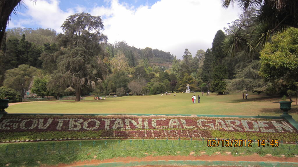 Ooty-Doddabetta