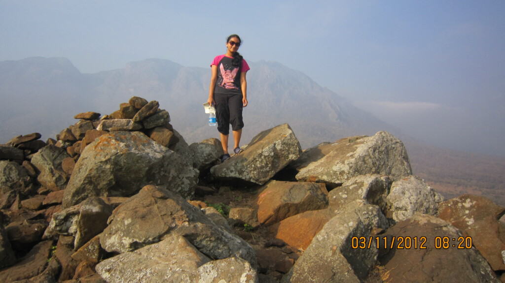 Masinagudi-wildlife-sanctuary