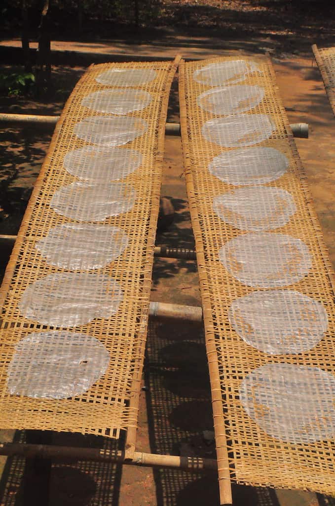 Rice Paper